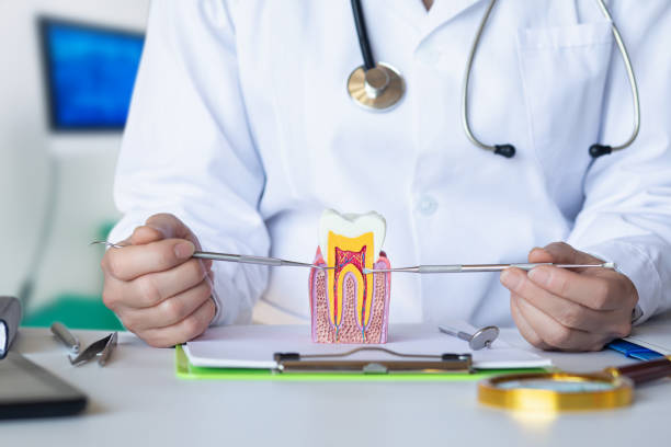 Best Emergency Root Canal Treatment in Muskogee, OK